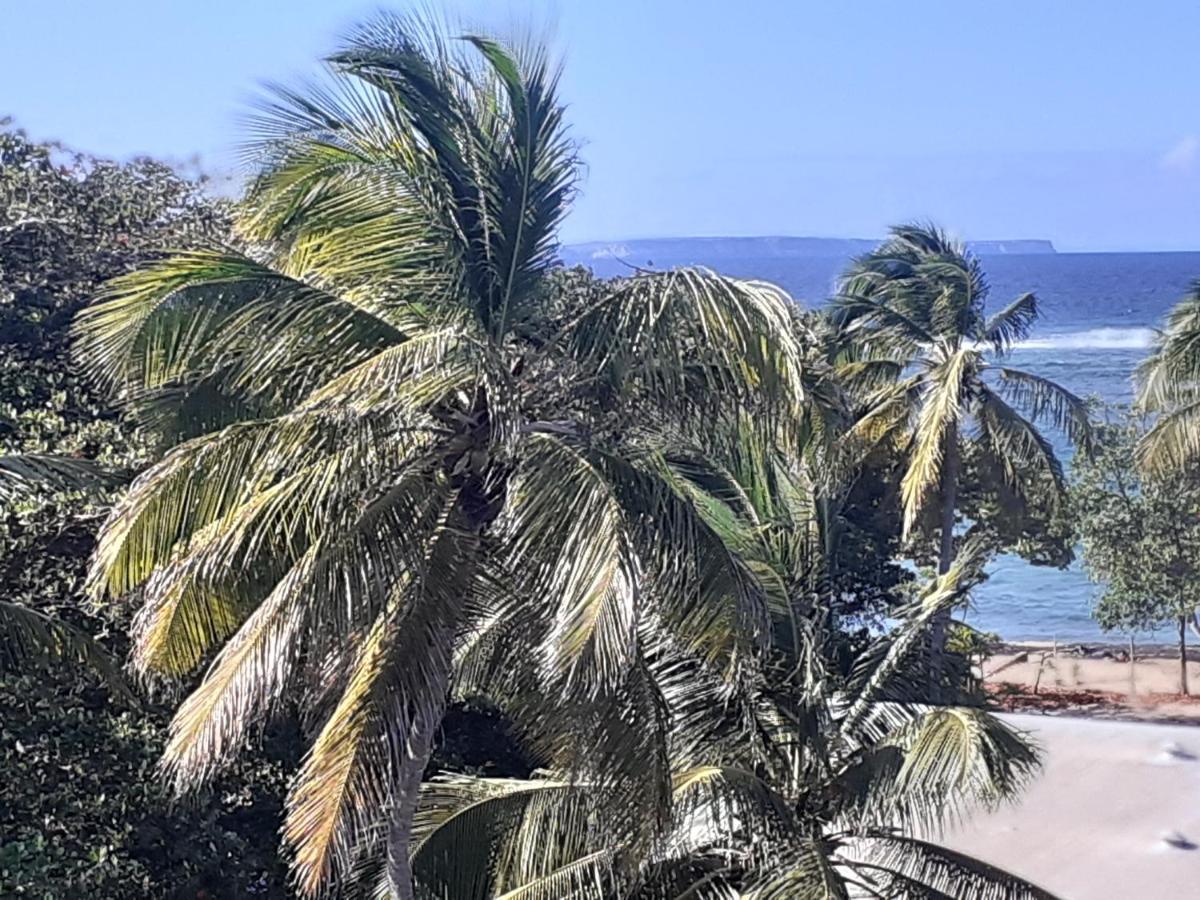Studio Vue Sur Mer Le Moule Dış mekan fotoğraf