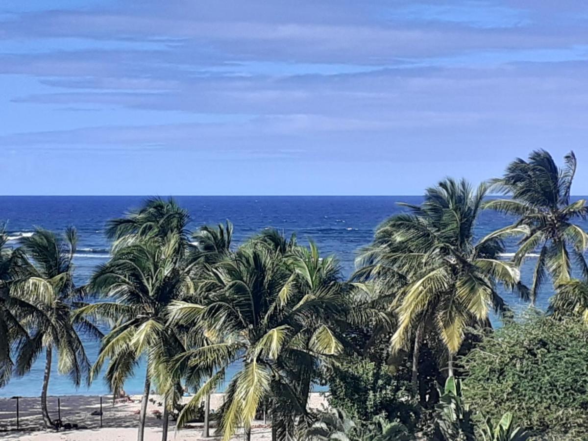 Studio Vue Sur Mer Le Moule Dış mekan fotoğraf
